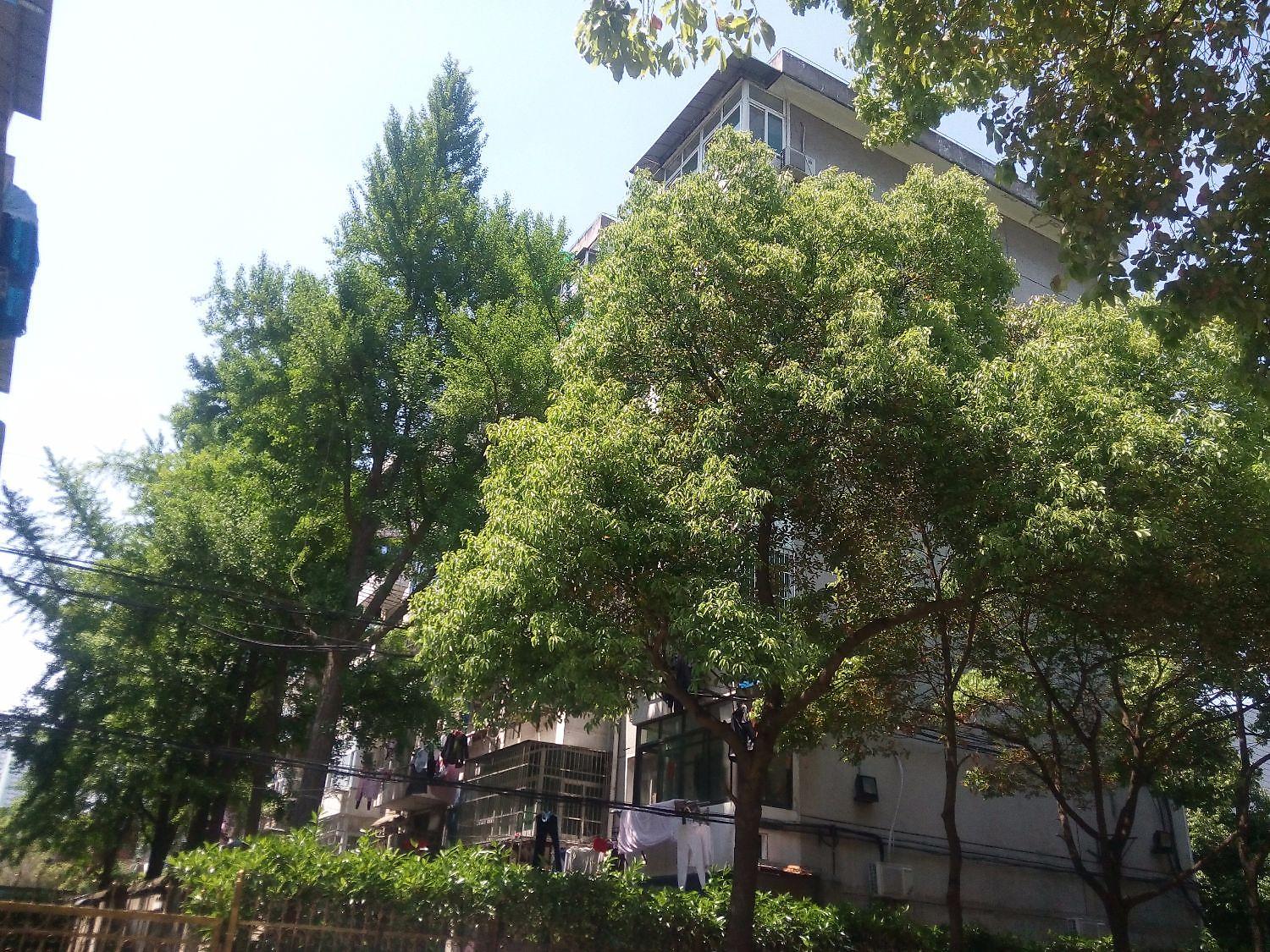 市体育局宿舍