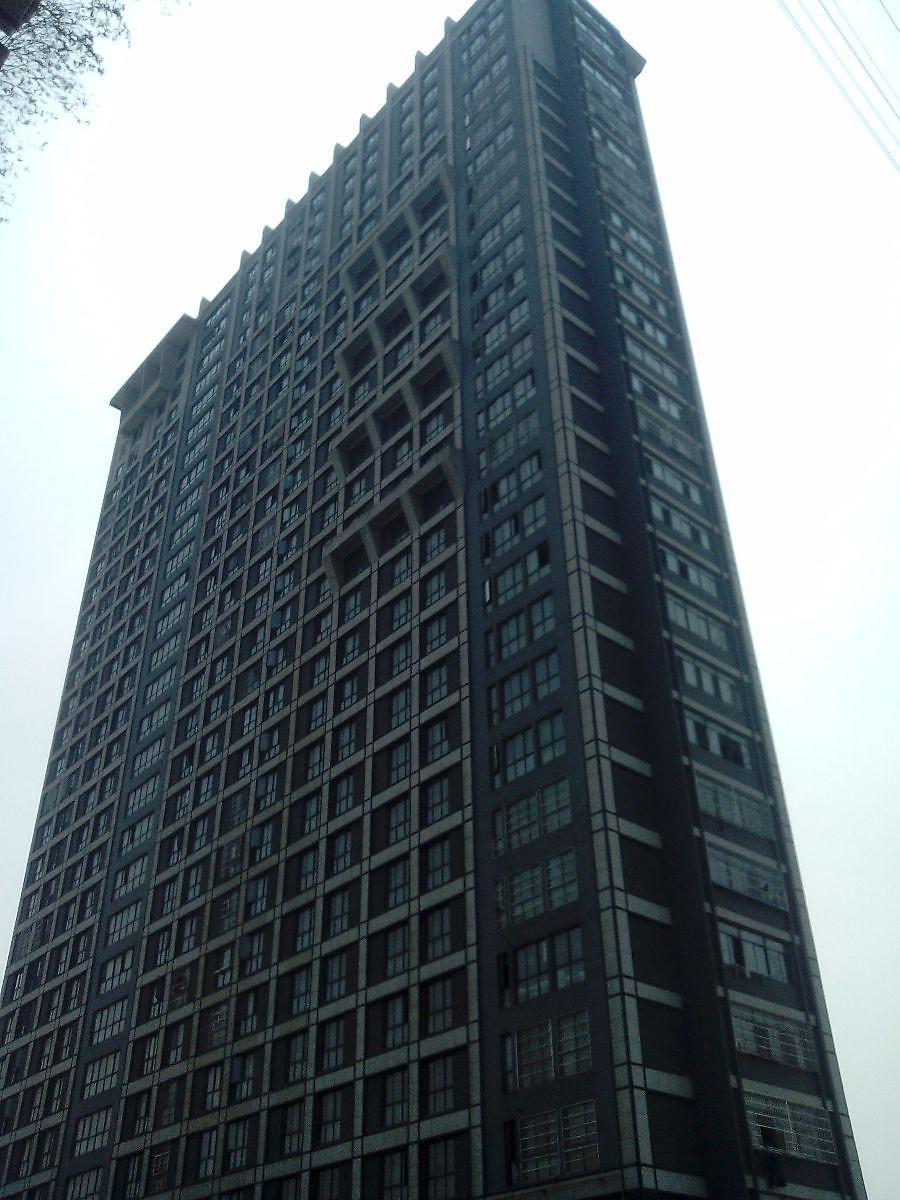 金微阳光100