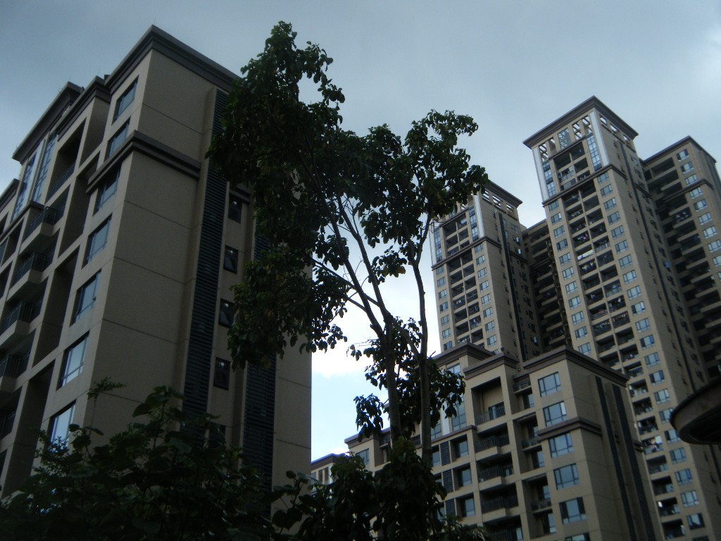 金域华府小区照片13