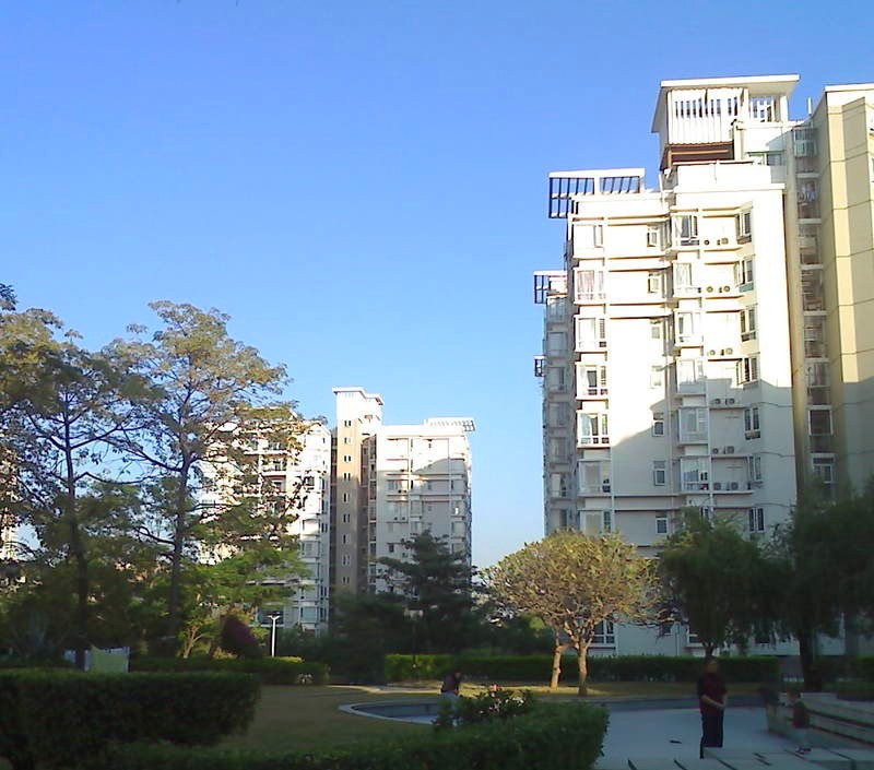科苑学里