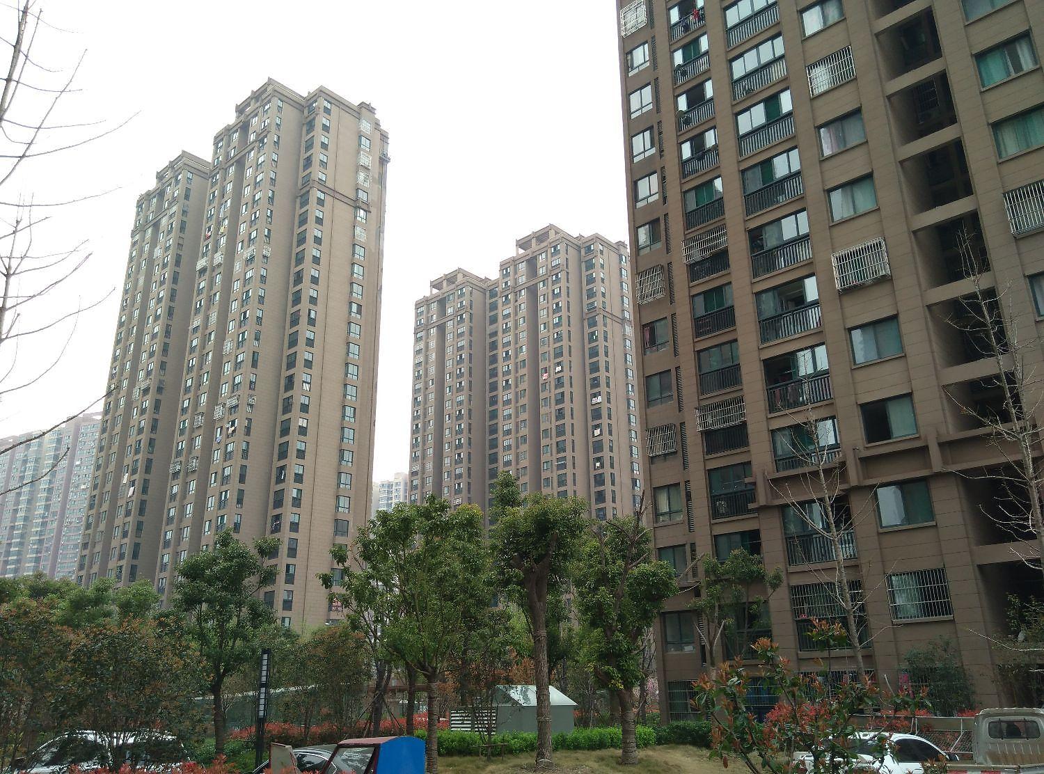 和谐花园