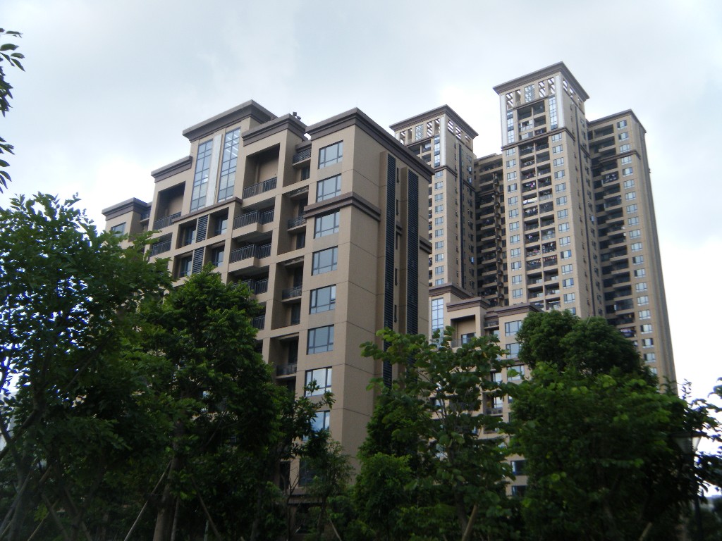 金域华府小区照片14