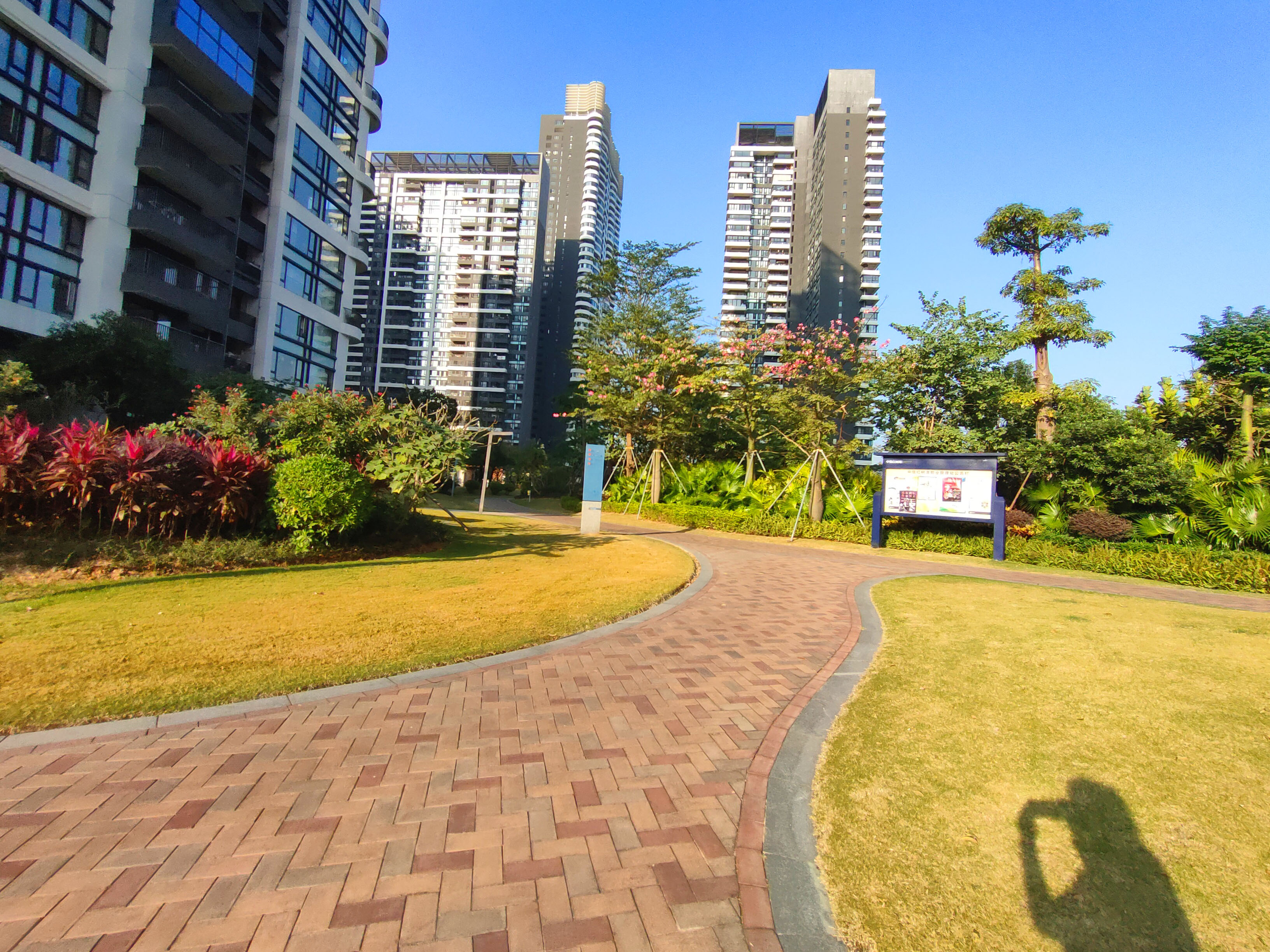 中信红树湾四期小区照片13