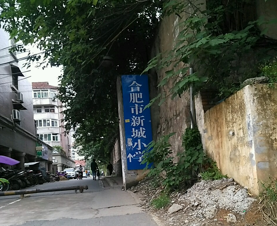 合肥市新城小学