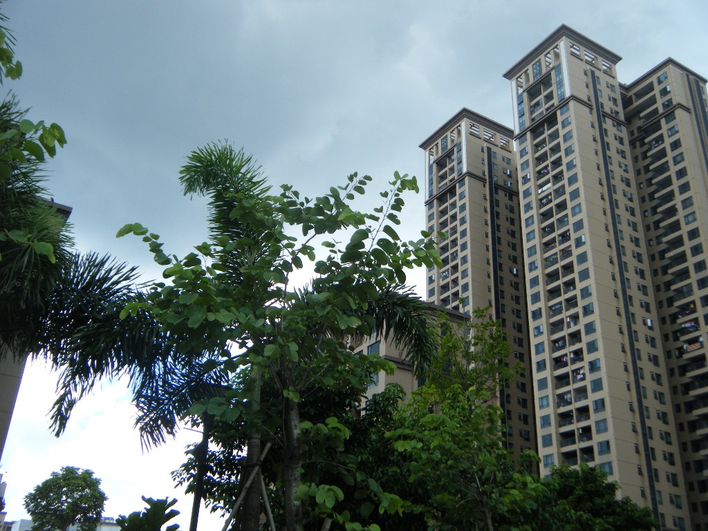 金域华府小区照片11