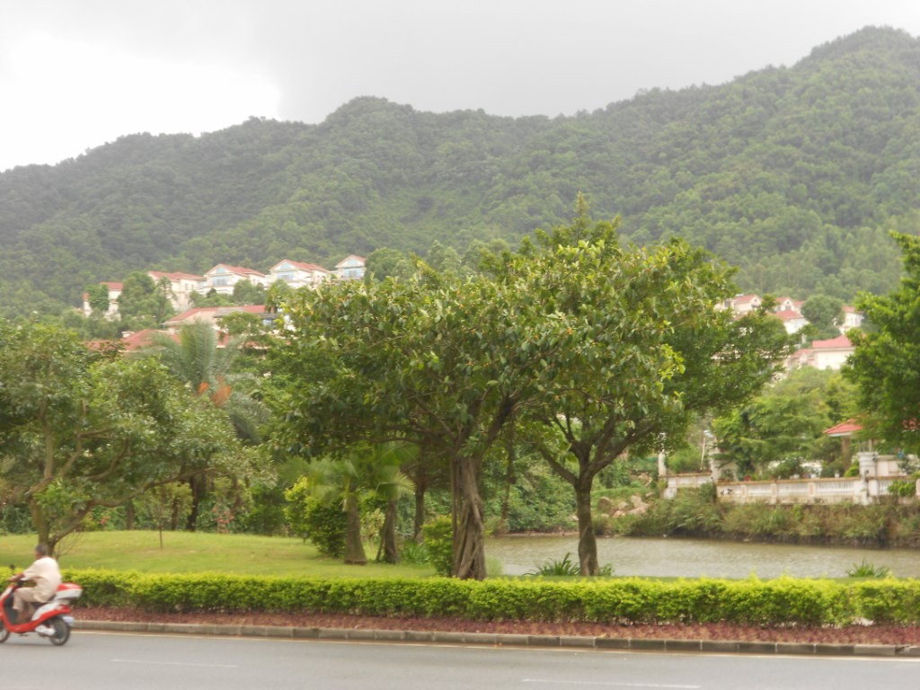 凯茵新城瑞士园凯澄别墅小区照片18