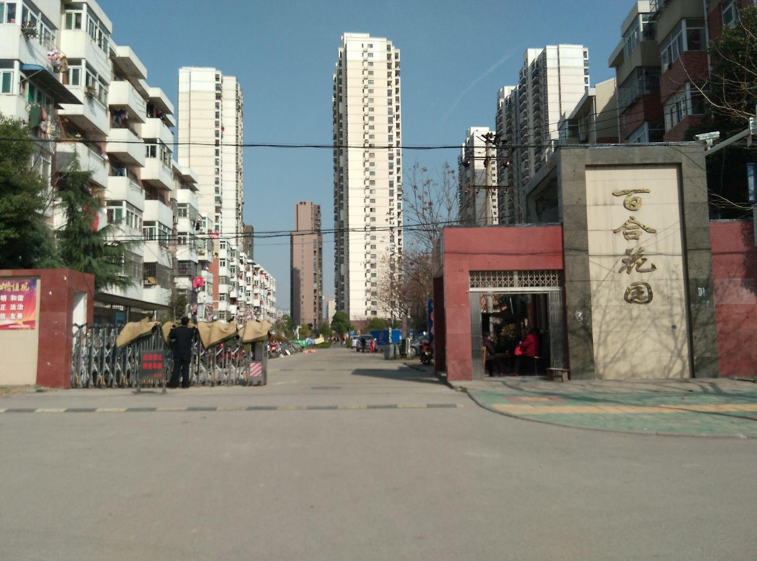 百合花园