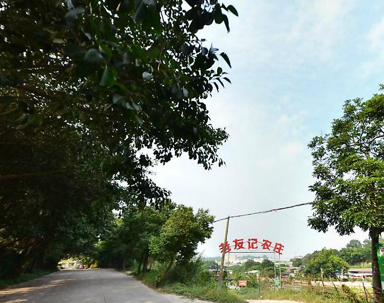 卓旗山庄世外桃源