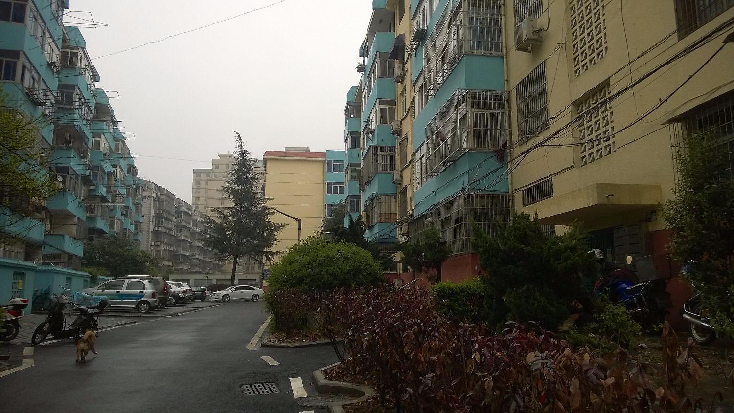 金湖新村