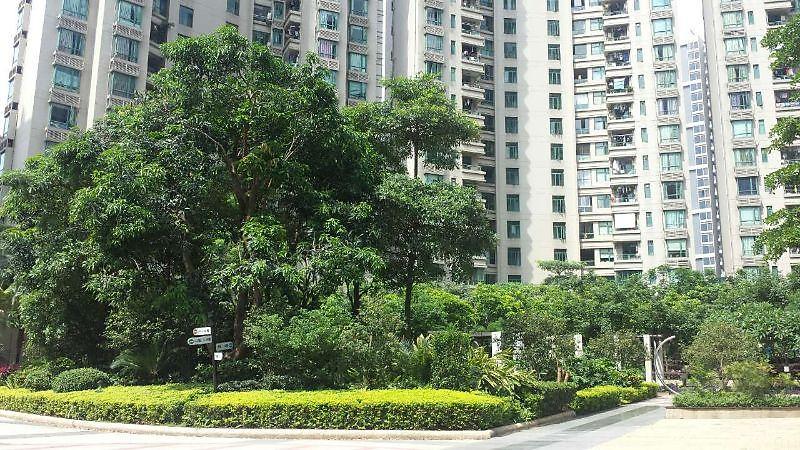 凯茵新城峰会小区照片4