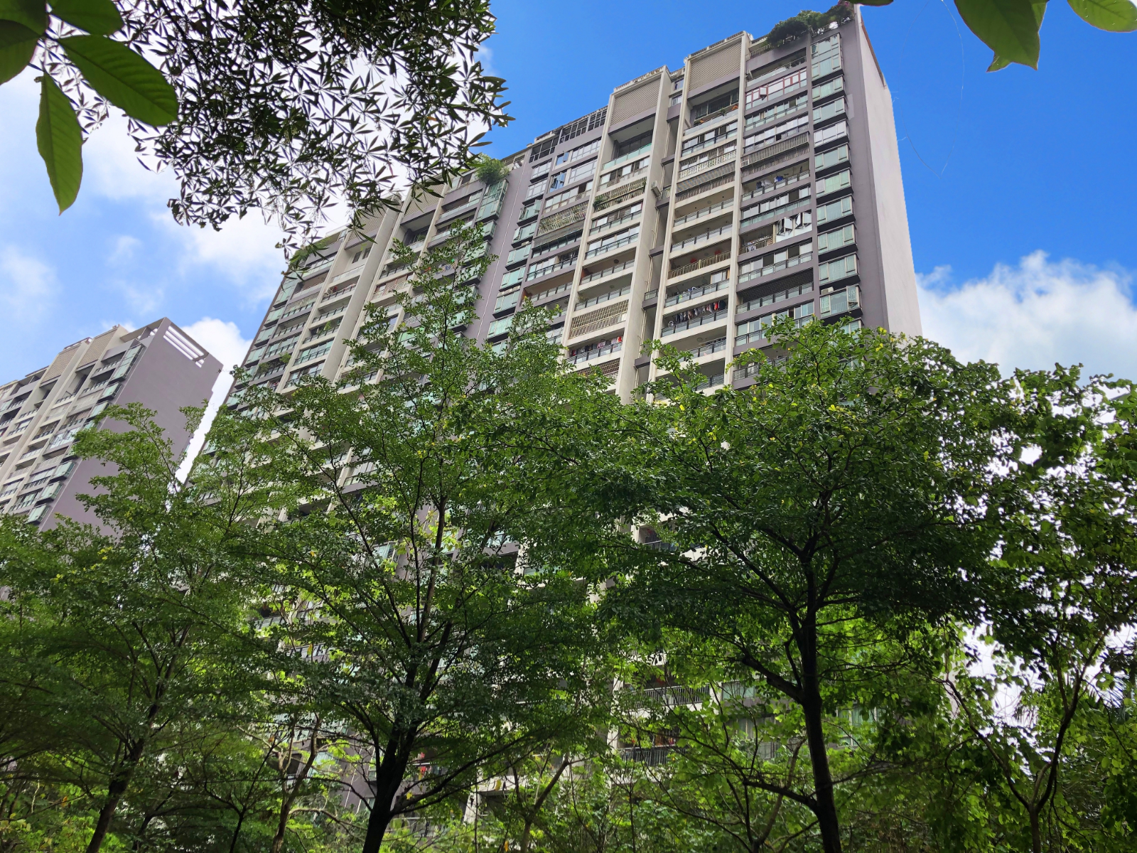 公元盛世小区照片5