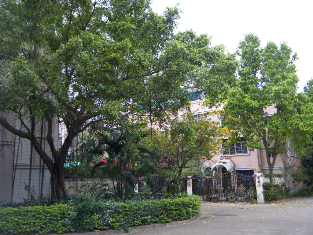 汇翠山庄翠丽苑小区照片6