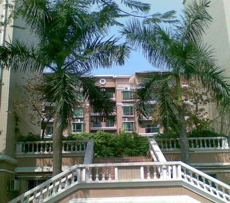 金地海景花园C区