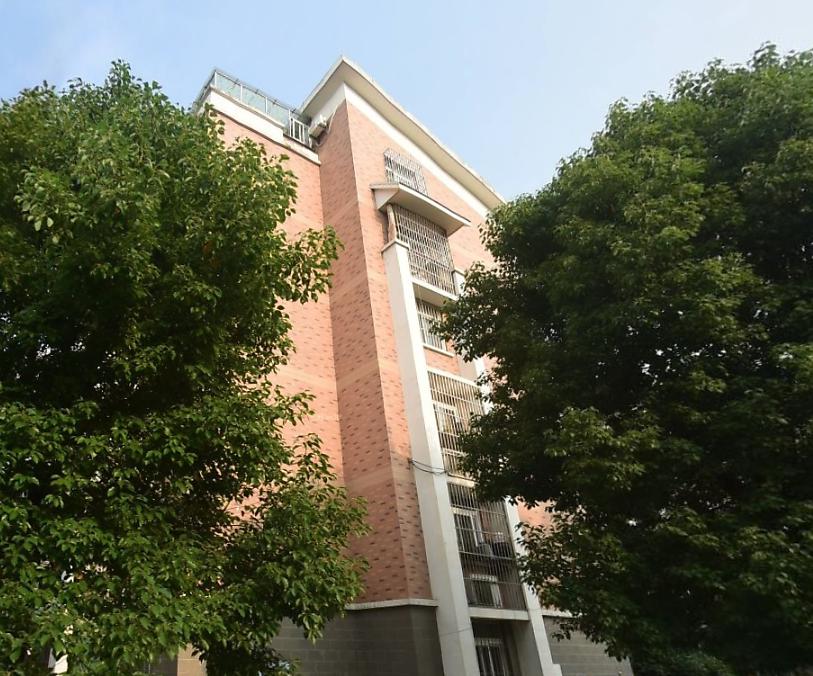 紫桐新村B区