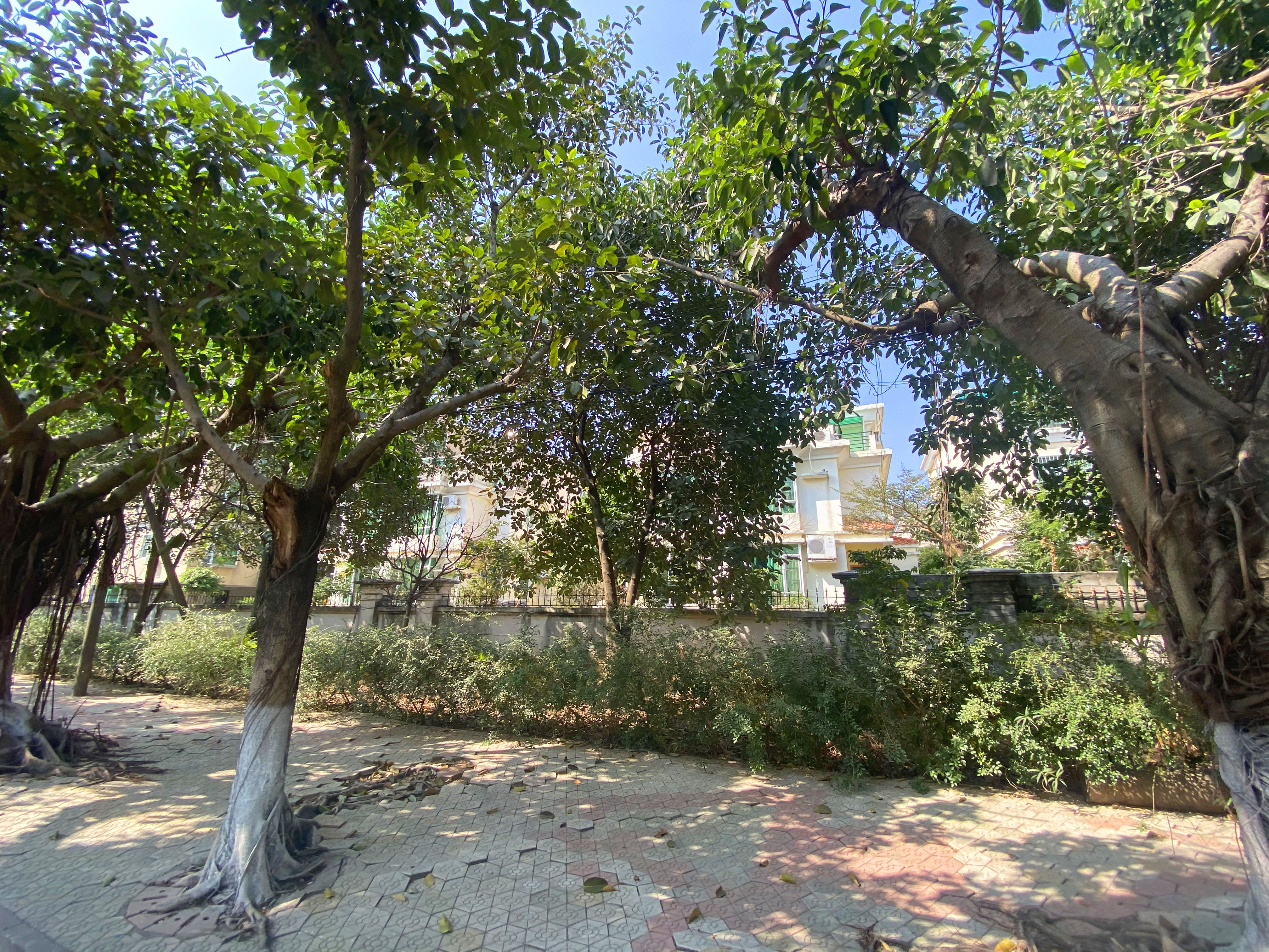 碧秀花园小区照片21