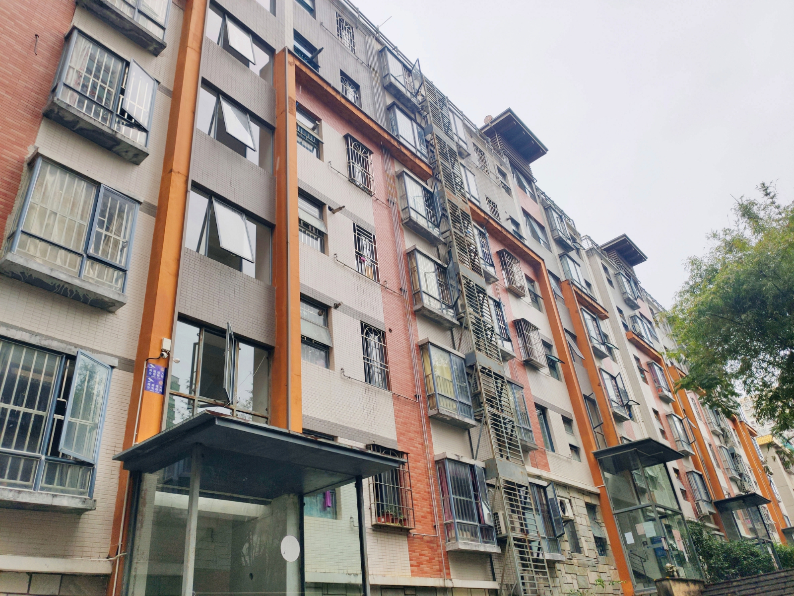泰阳金桔苑