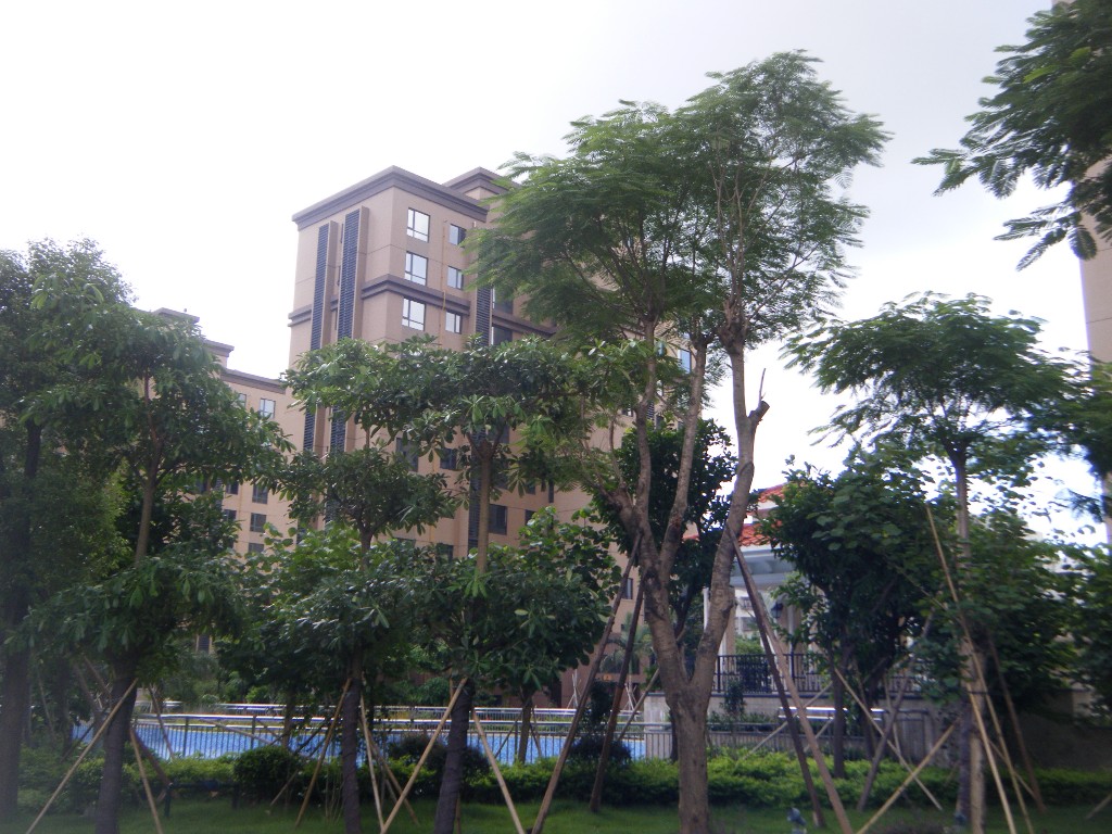 金域华府小区照片22