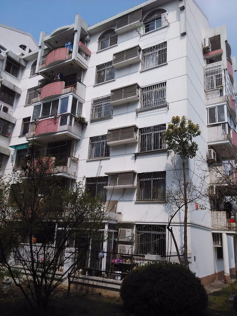 琥珀东村小区照片13