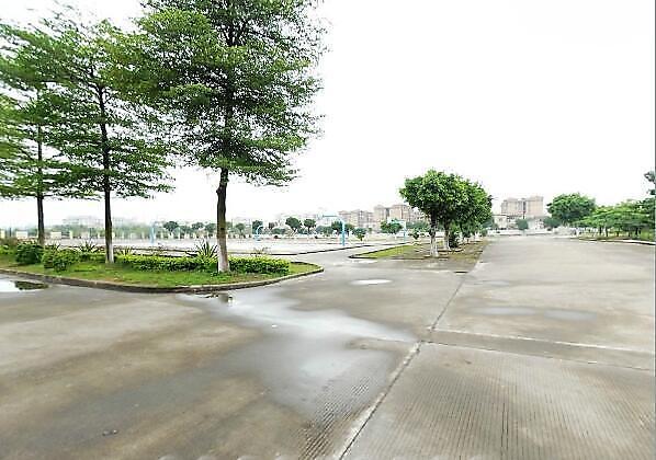 中山市三角镇高平小学