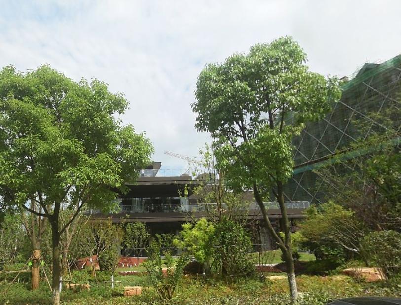 信达公园里