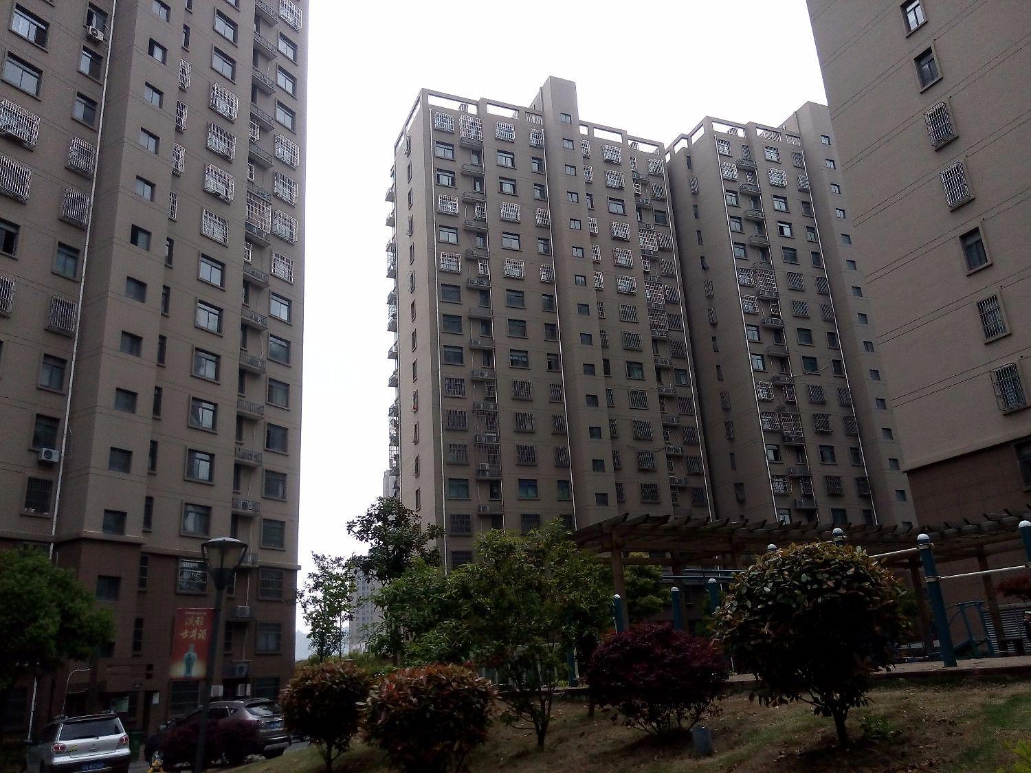 海棠别院南区小区照片16