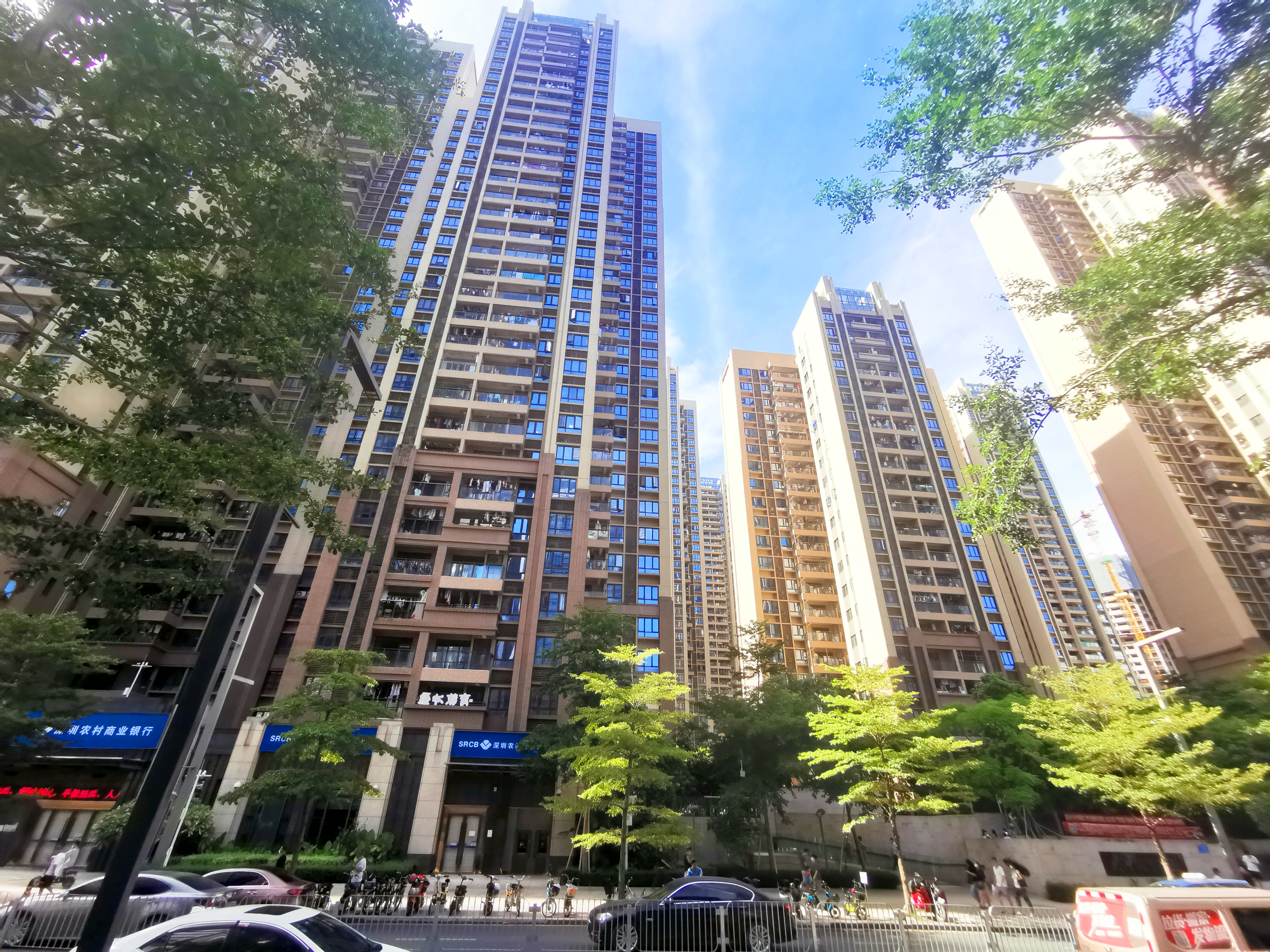 大冲城市花园A区