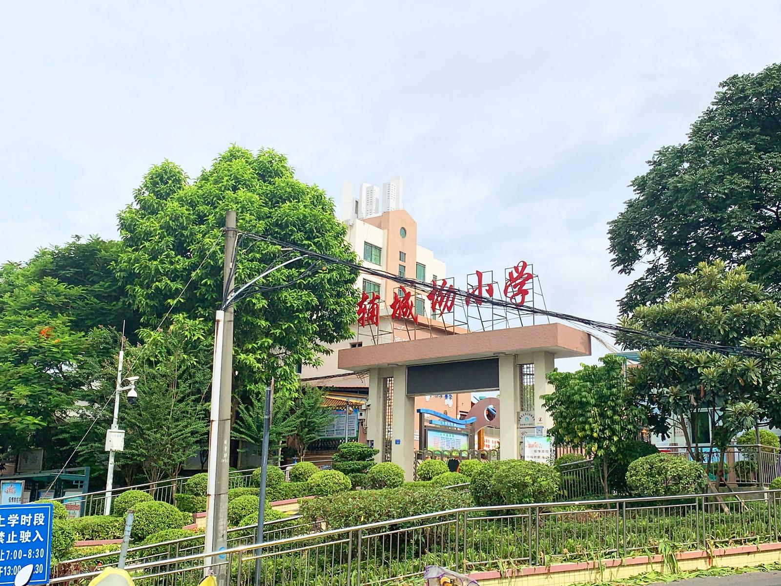 深圳市龙岗区平湖街道辅城坳小学