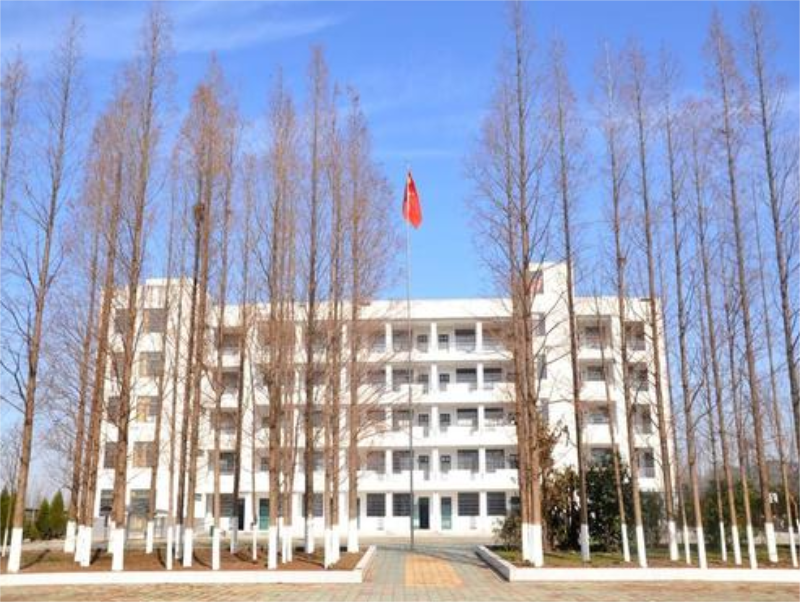 合肥市小庙中学（初中部）
