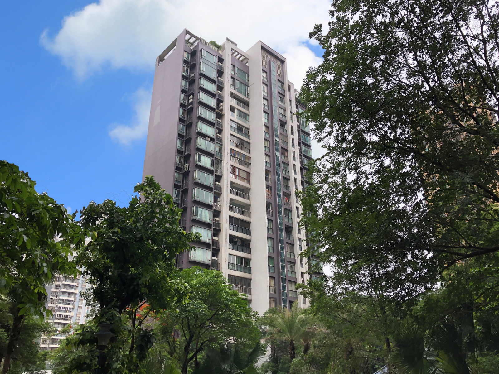 公元盛世小区照片8