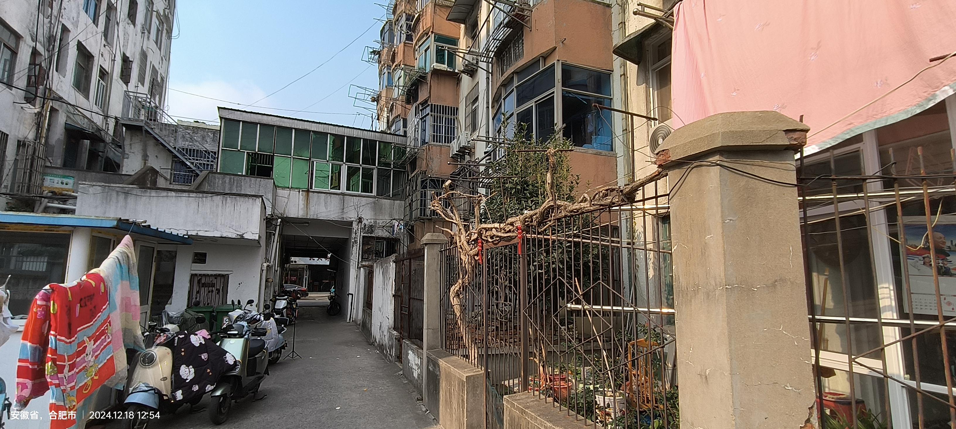 振兴楼