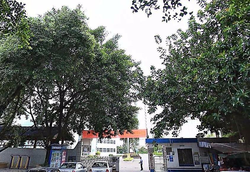中山市火炬开发区第二小学