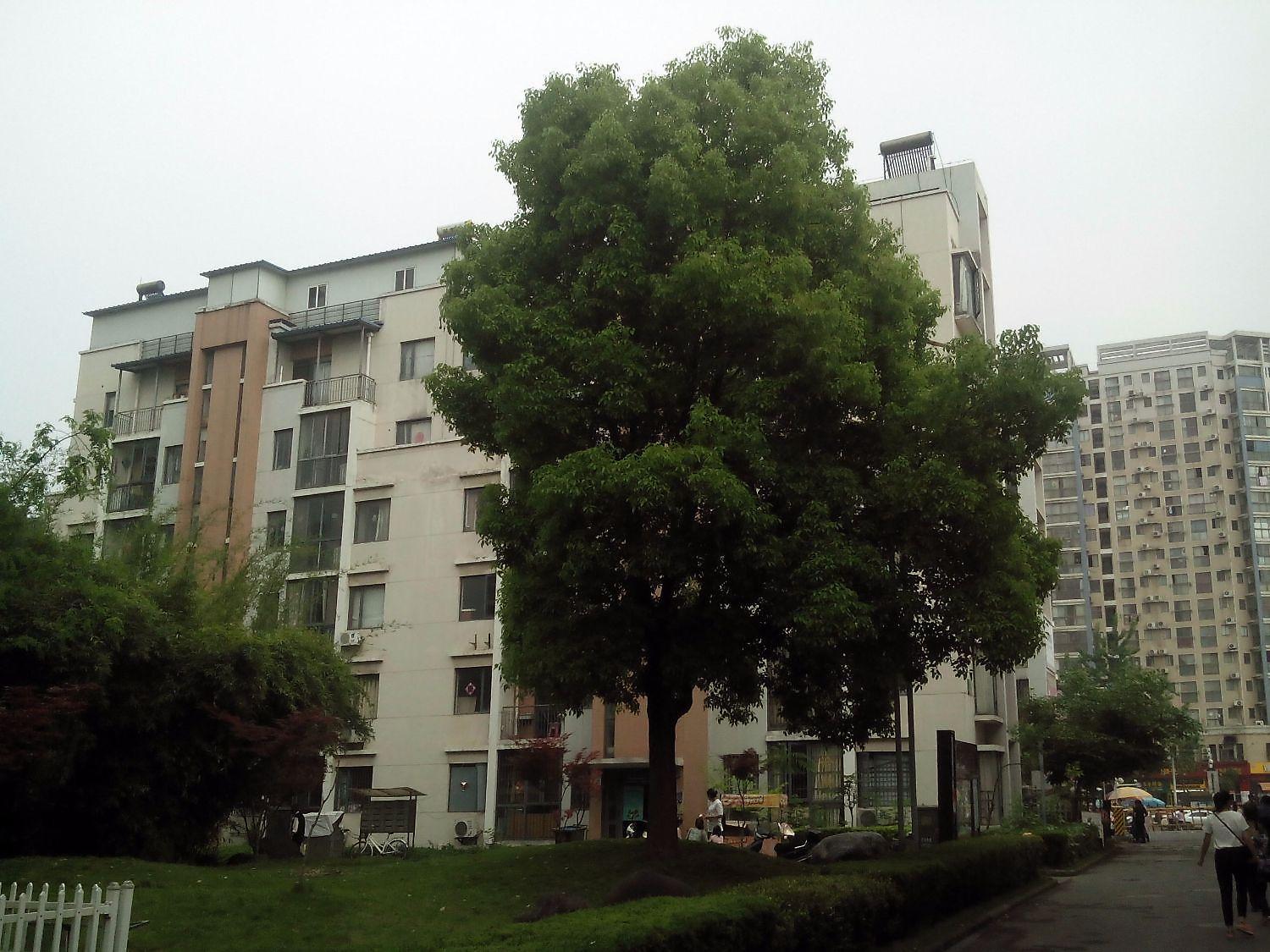 香格里拉花园紫阳