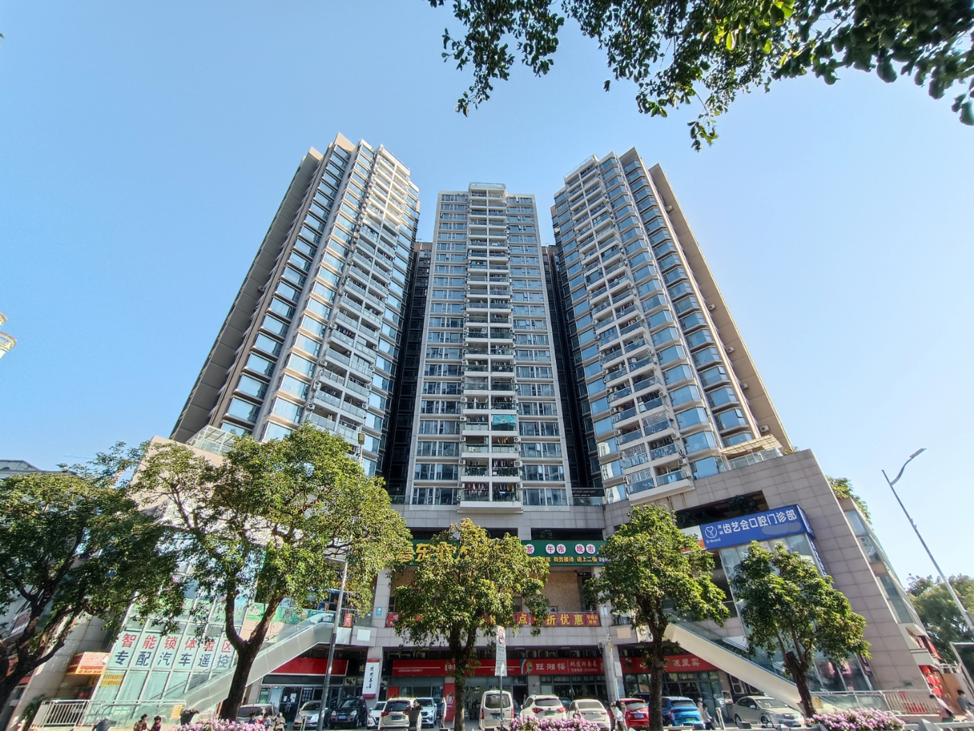 盛世名门