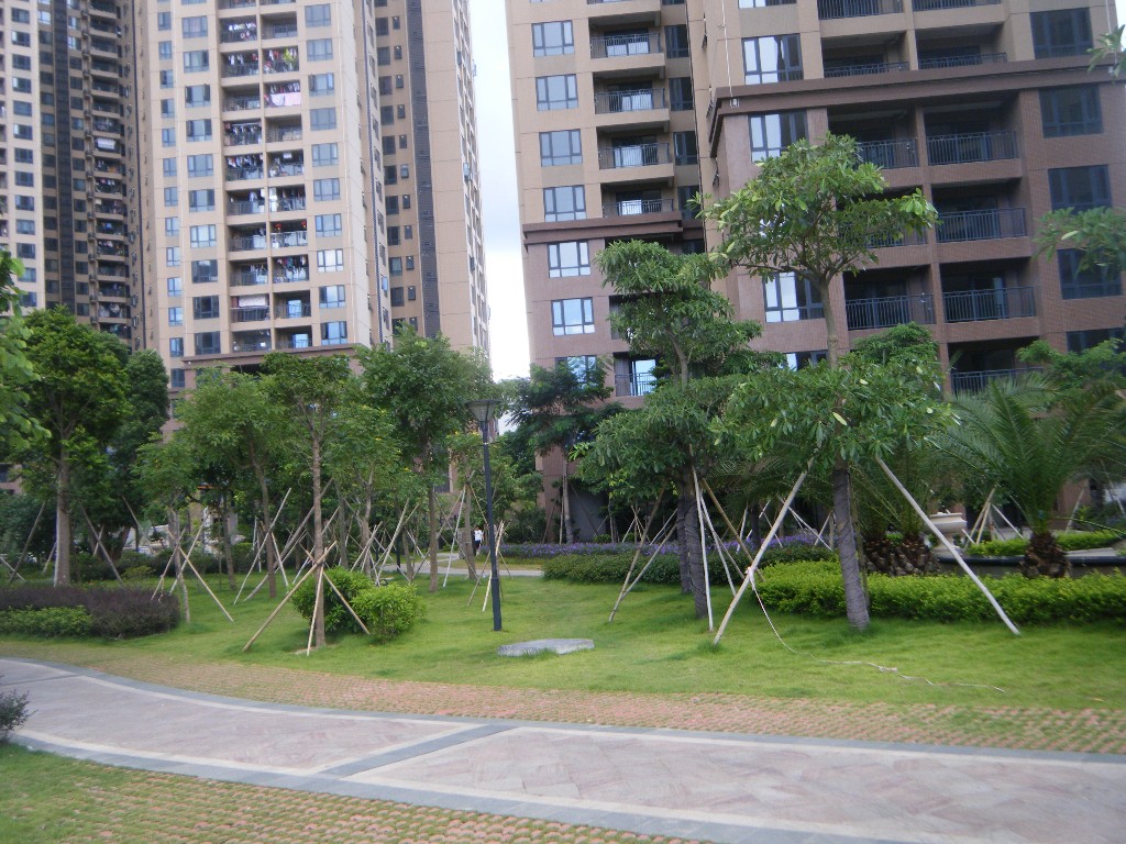 金域华府小区照片15