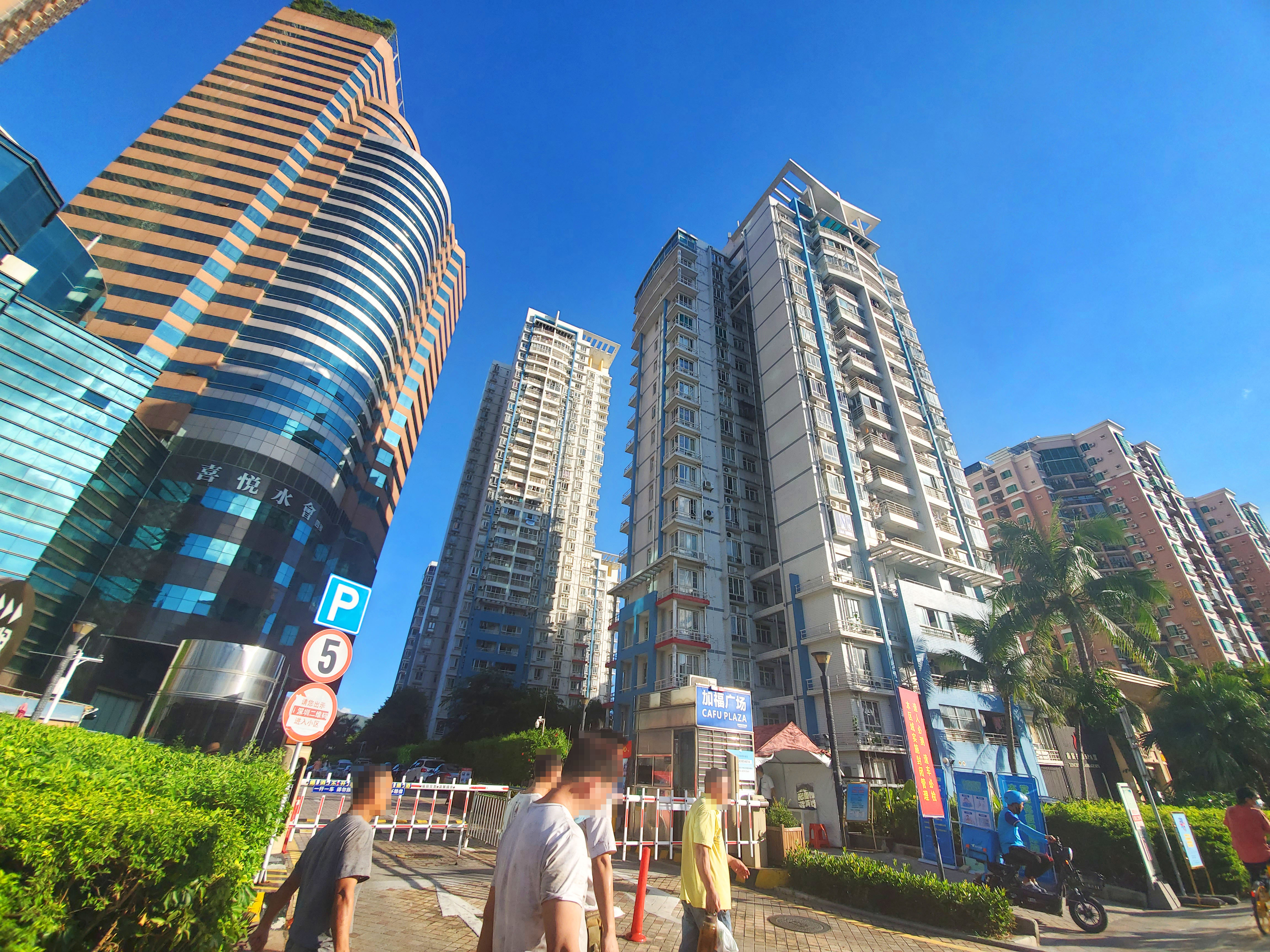 丽港湾