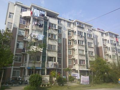 向阳苑C区