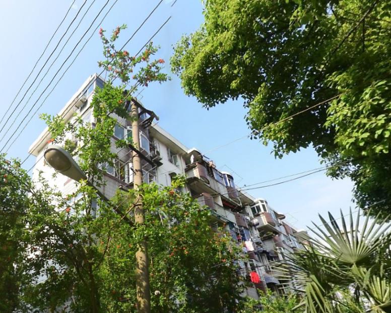 天鹅花园小区照片15