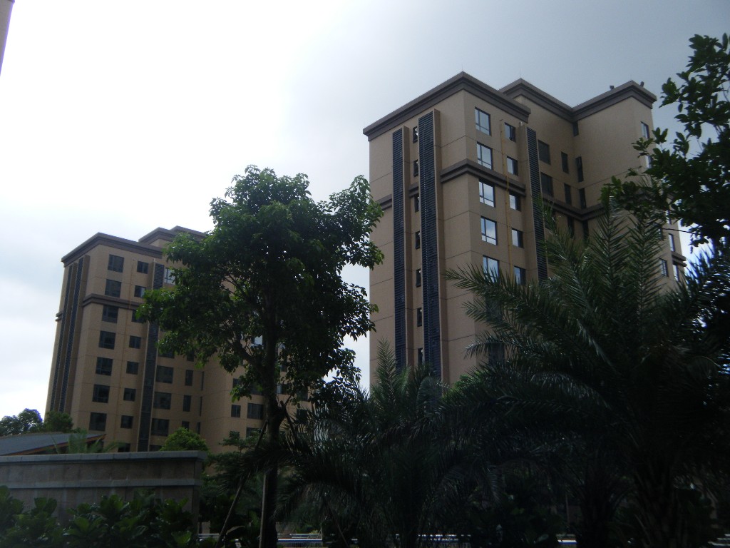 金域华府小区照片16