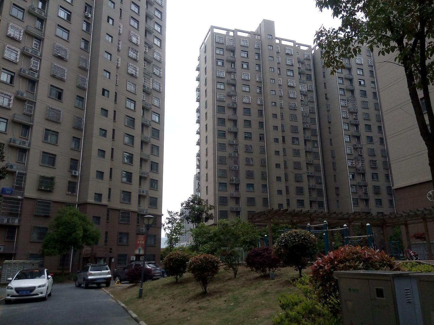 海棠别院南区小区照片9