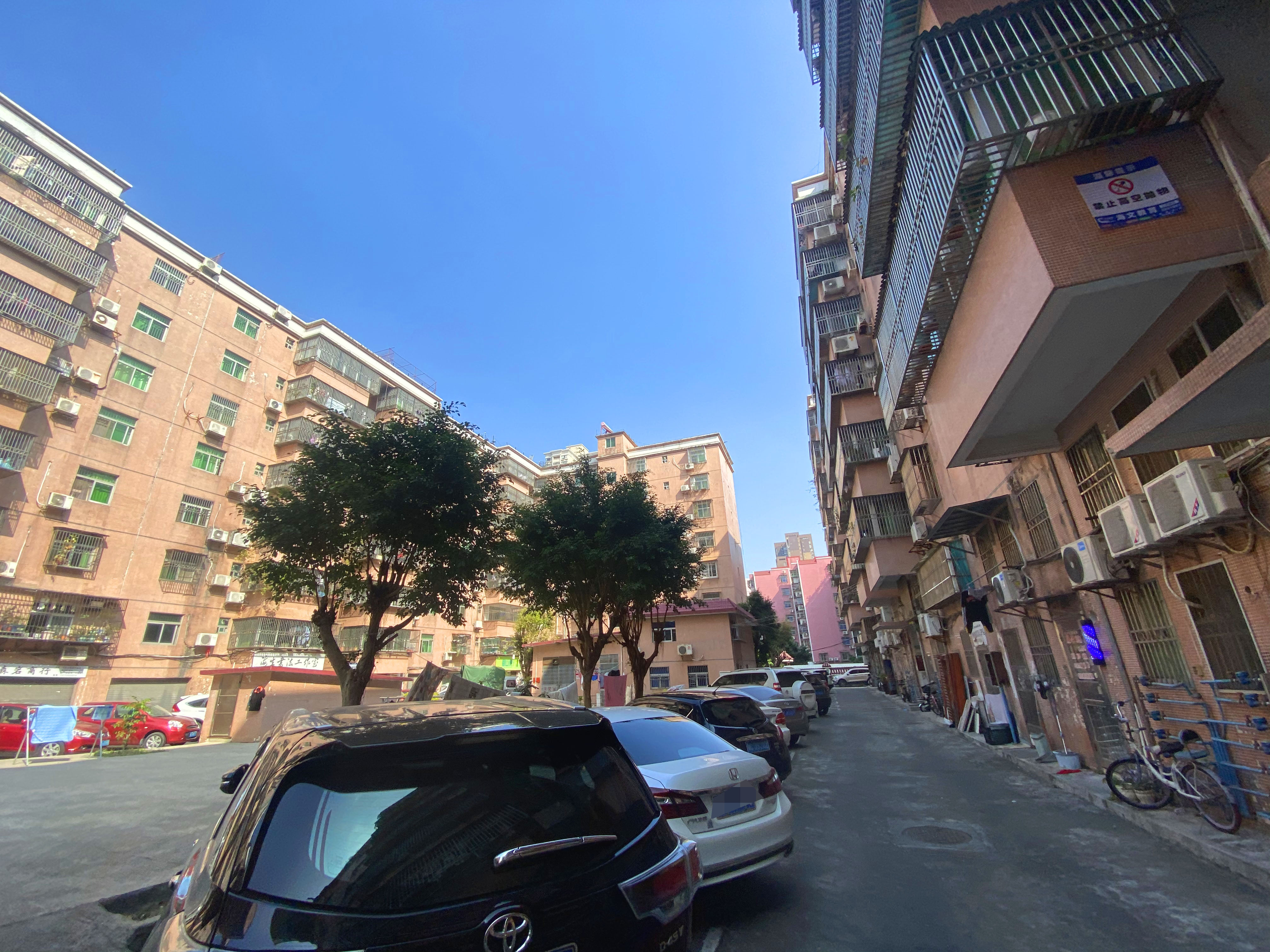 宝地花园小区照片10