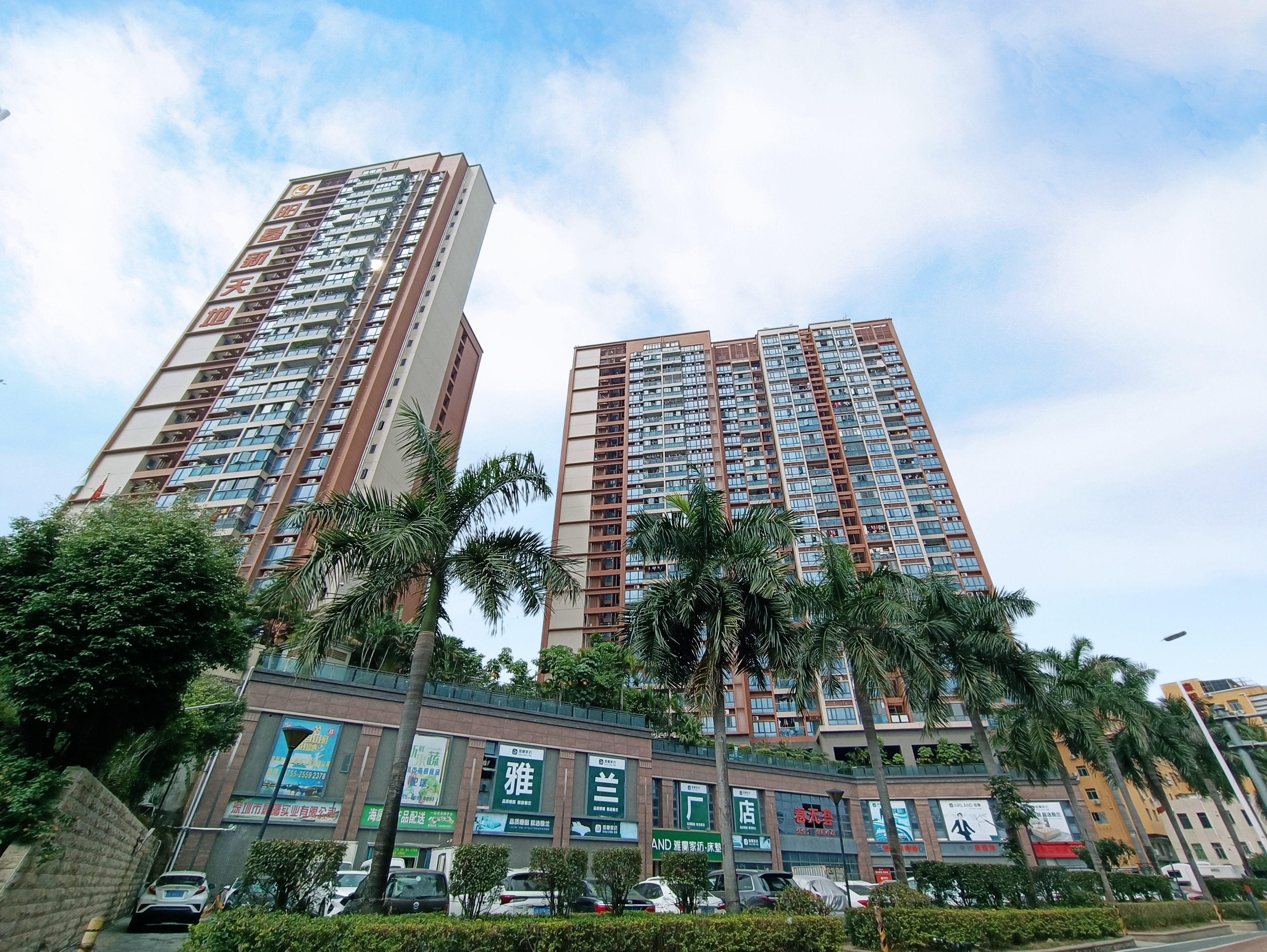阳基春天里