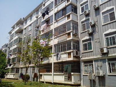 包河苑B区