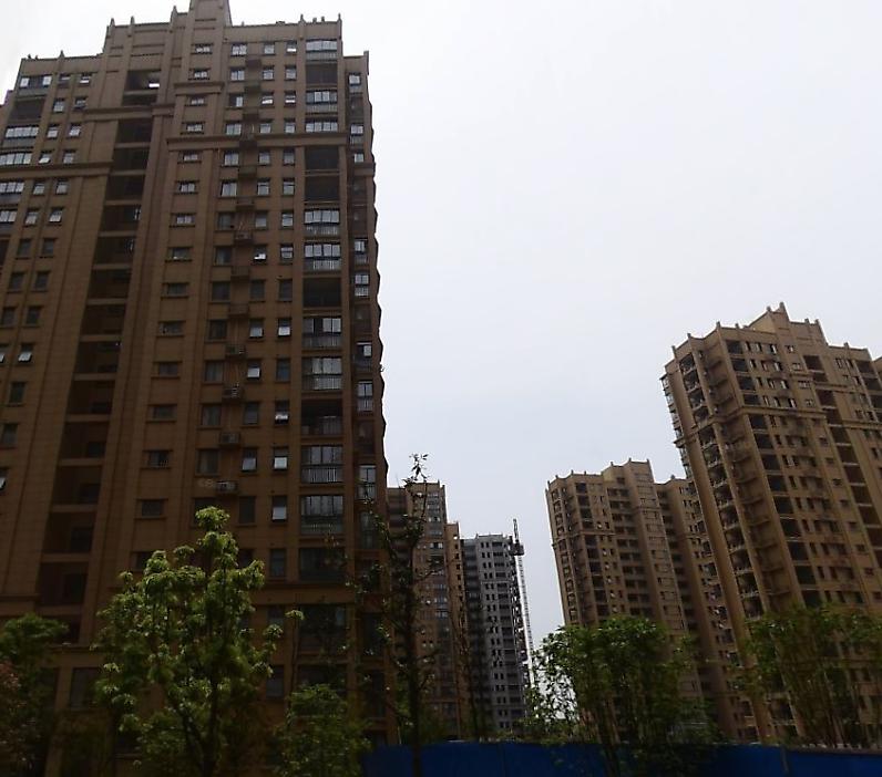 信达万振东方樾府