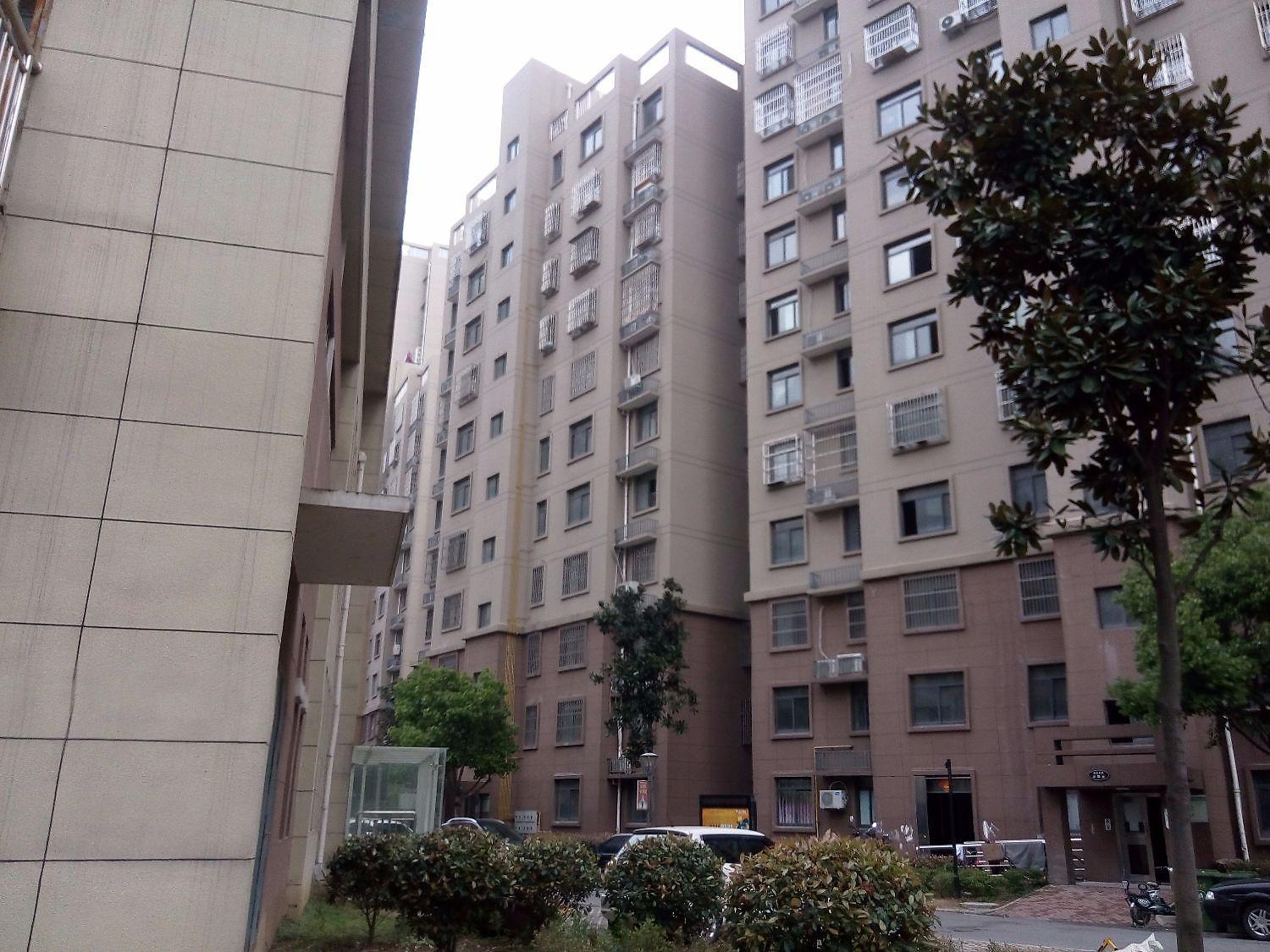 海棠别院南区小区照片19