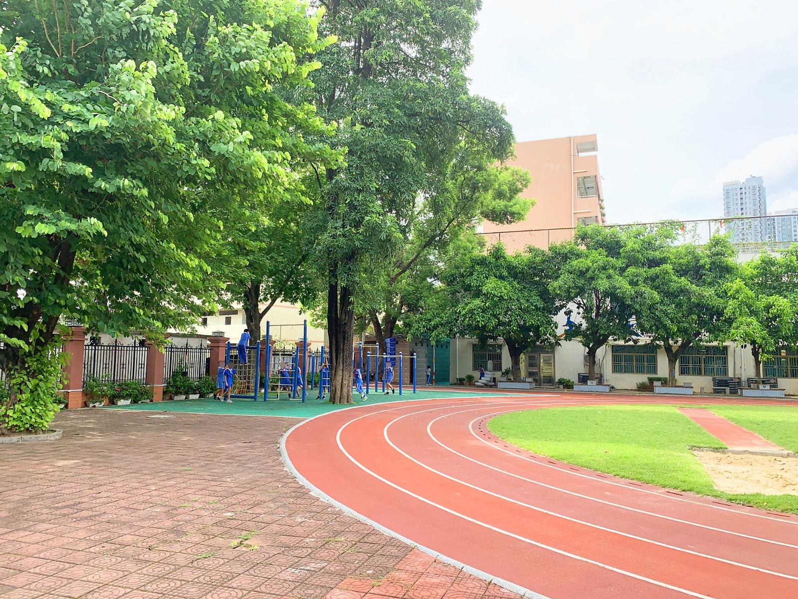 深圳市龙岗区平湖街道辅城坳小学