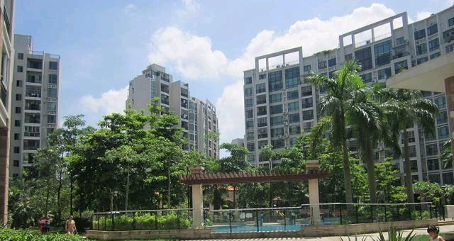 棕榈假日小区照片18