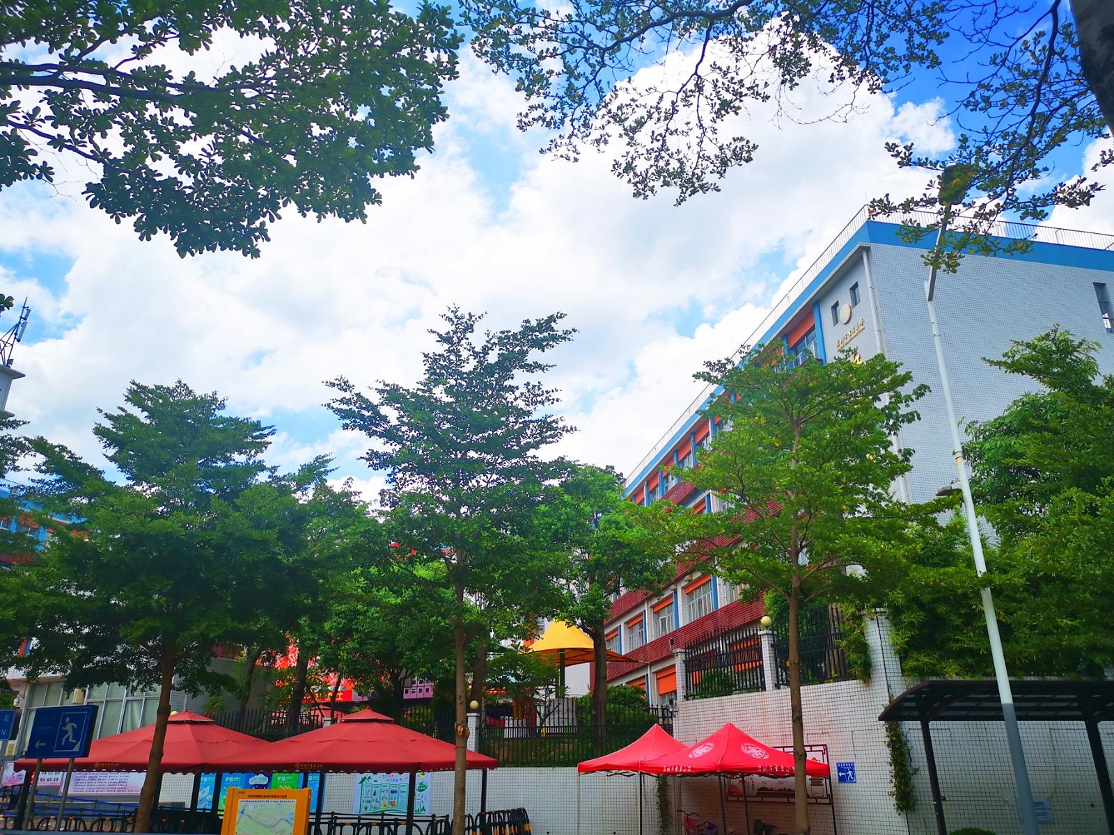 深圳市龙华新区书香小学