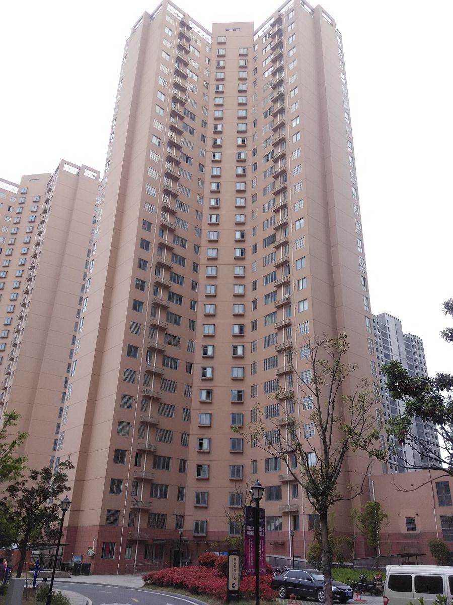 金云国际