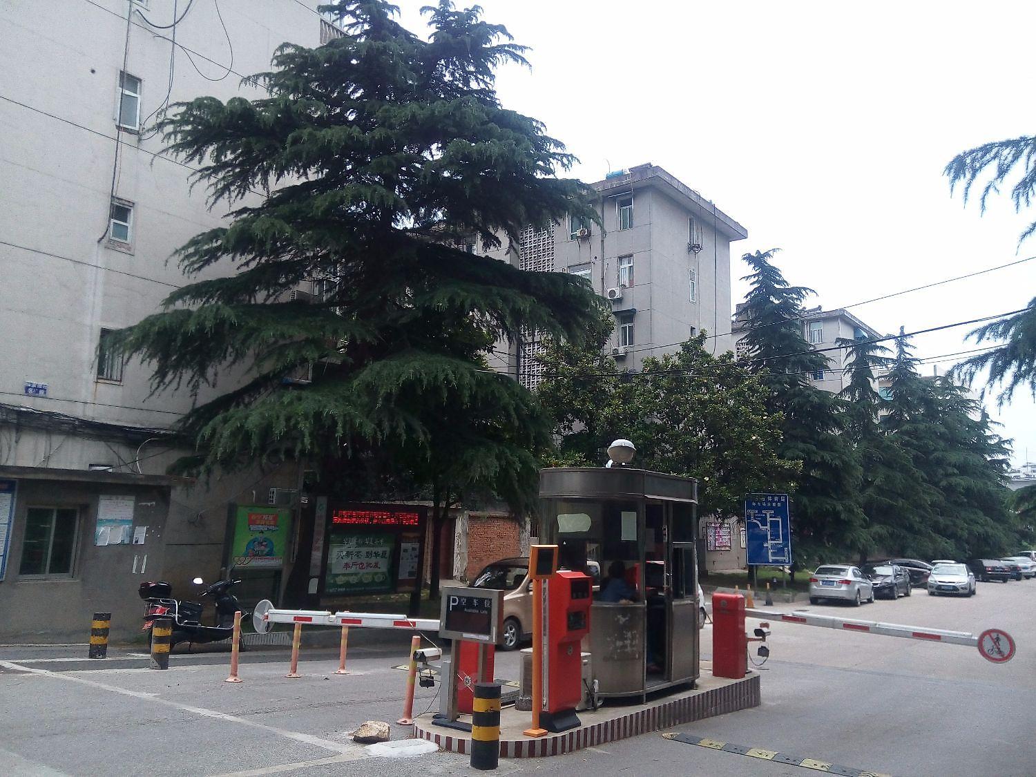 体育西村