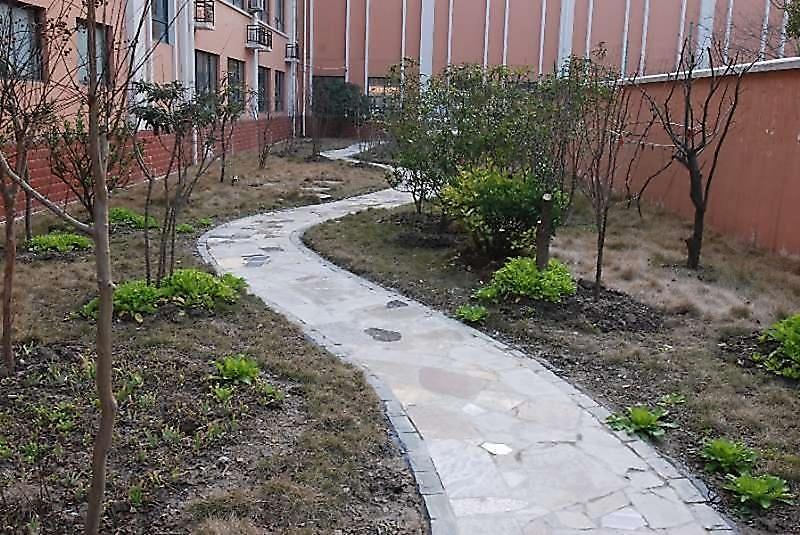 上海市浦东新区金茂小学碧云校区